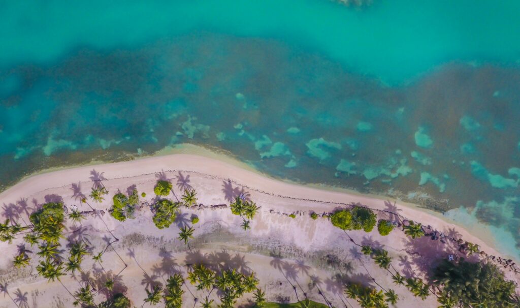 Stunning aerial view of a tropical beach with turquoise waters and palm trees in Puerto Rico.